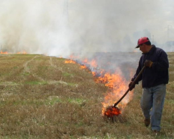 PODCAST: QUEMAS AGRÍCOLAS Y CONTAMINACIÓN EN LA QUINTA REGIÓN COSTA